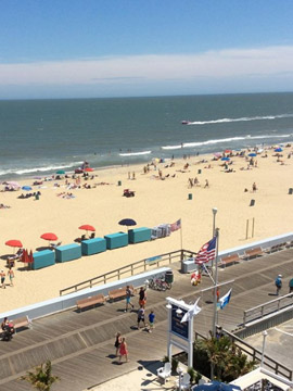 ocean gallery web cam