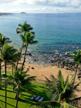 Live tsunami cam maui