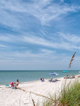naples grande beach cam